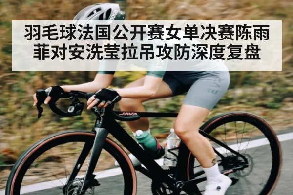 羽毛球法国公开赛女单决赛陈雨菲对安洗莹拉吊攻防深度复盘
